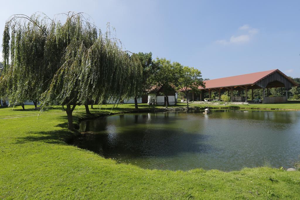 Lépine Domaine De Collen Bed & Breakfast エクステリア 写真