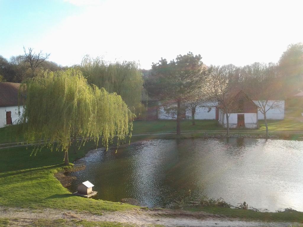 Lépine Domaine De Collen Bed & Breakfast エクステリア 写真